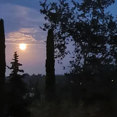 Apartment Starlight Seaview *