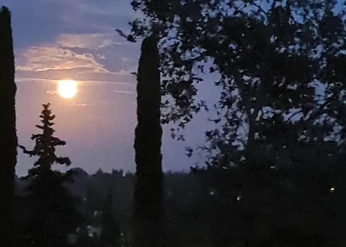 Lejlighed Starlight Seaview *