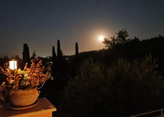 Starlight Seaview Lejlighed *